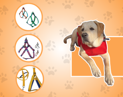 PET IMPORTED SOFT PADED HARNESS+ IMPORTED REFLECTING ROPE